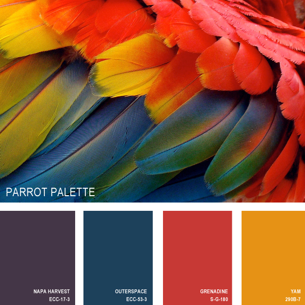papagan-renk-paleti