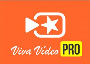 viva-video-1-300x214.jpg